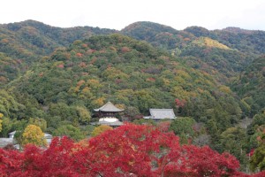 根来寺